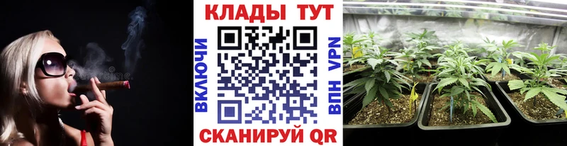 Где продают наркотики Онега Cocaine АМФЕТАМИН Alpha PVP Марихуана МЕФ