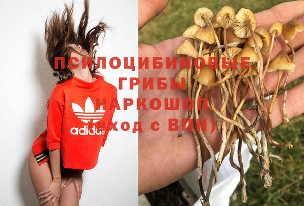 а пвп мука Богородицк