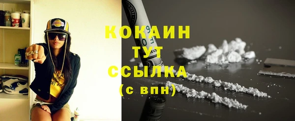 индика Богданович