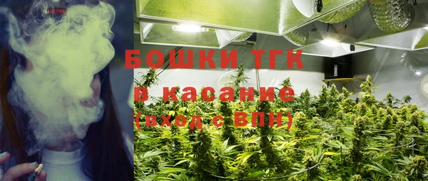 экстази Белокуриха